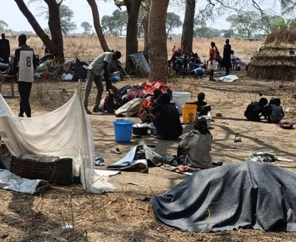 Las familias se refugian bajo los árboles en Nyatim, Estado de Jonglei, Sudán del Sur, donde las personas desplazadas viven al aire libre sin refugio adecuado, comida ni acceso a atención sanitaria básica tras huir de la violencia en Lankien y las zonas circundantes.