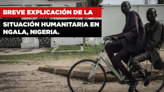 ngala_explicacion.jpg