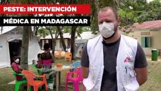 peste_intervencion.jpg