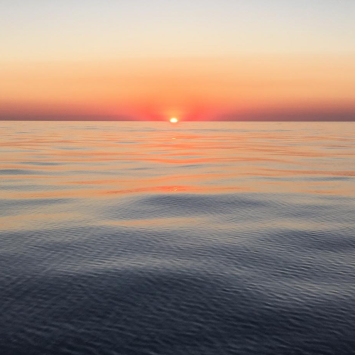 sunset_courtneybercan.jpg